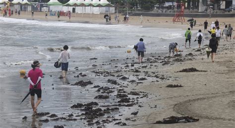 bbc weather stretford|Tropical depression dumps heavy rain in southern South Korea .